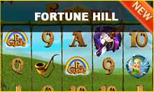 fortune hill video slot