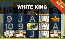 white king playtech